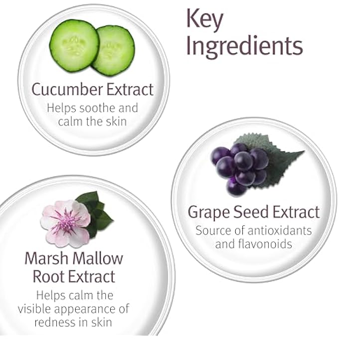 Epionce BALANCING TONER - FACIAL TONER, DIRT & MAKEUP REMOVER TONER FOR FACE, GENTLE FACE CLEANSER, HYDRATING TONER, BODY & FACE MIST, FACIAL SPRAY - Image 4